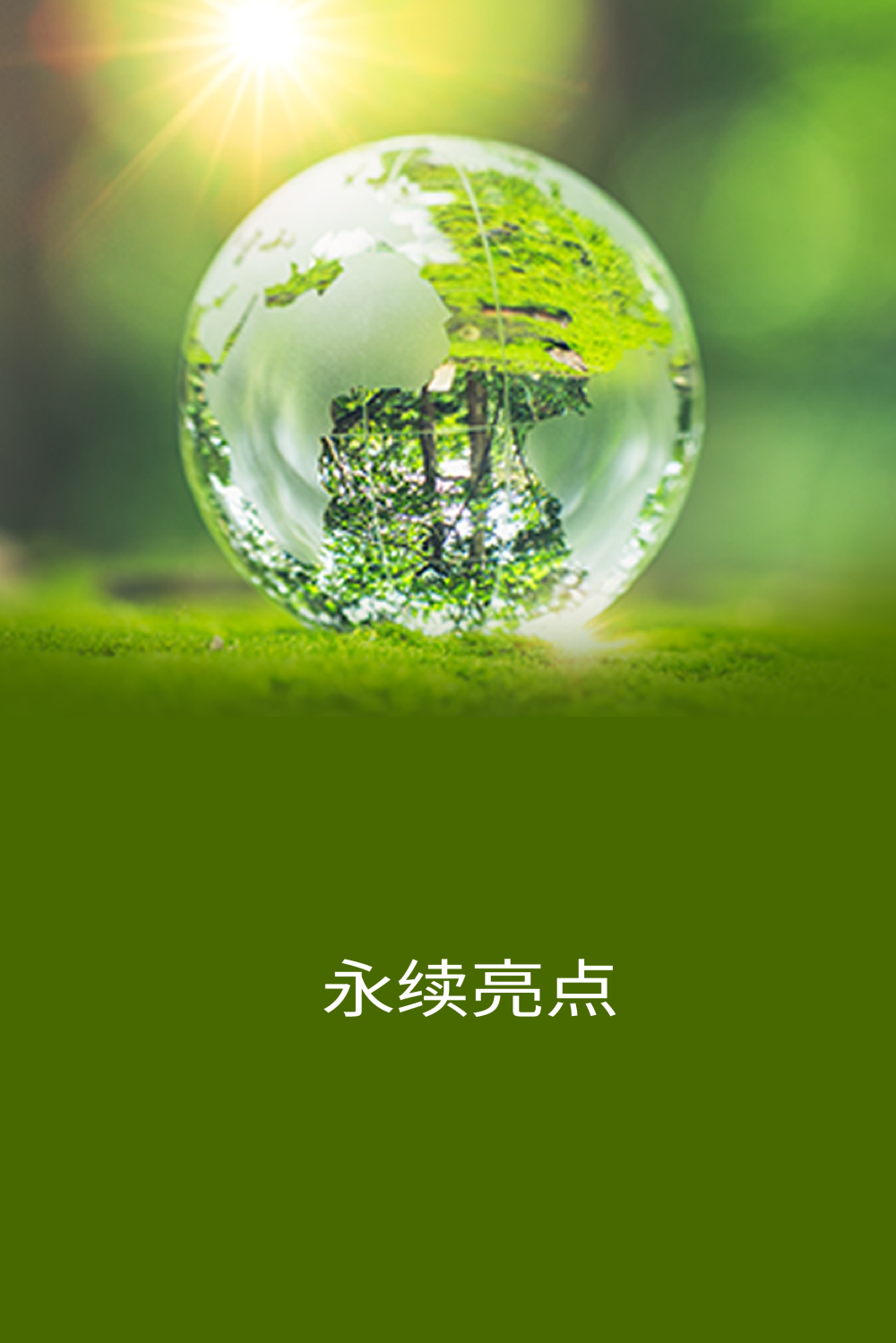 永续亮点